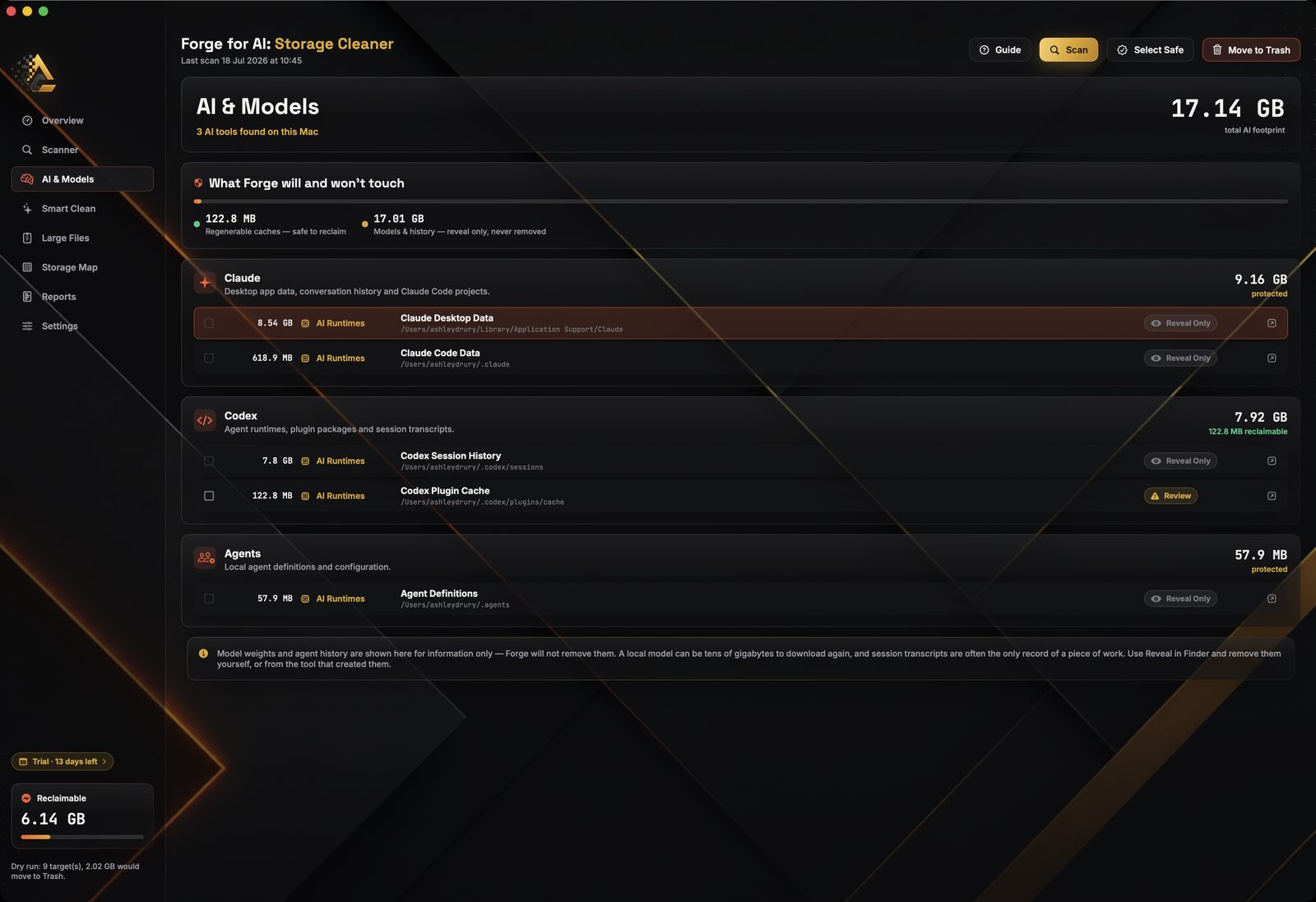 The AI and Models screen, grouping storage by the tool that created it