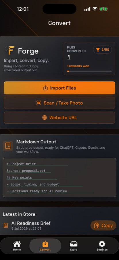 Forge Convert screen